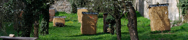 Ballen im Hasengraben