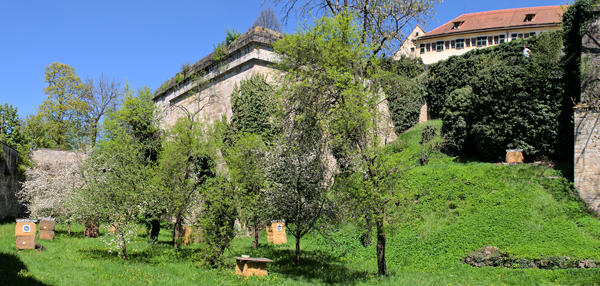 Der Hasengraben beim Schloss Hohentübingen